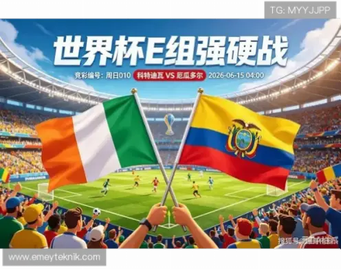 在线观看 科特迪瓦 vs 厄瓜多尔怎么选？专业指南